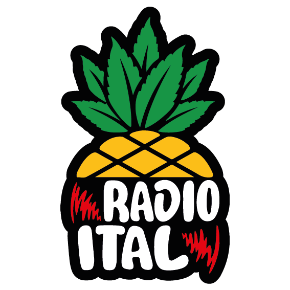 Radioital logo